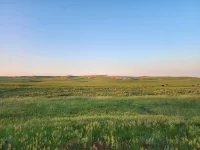 20250620_064046.webp